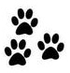pattes-de-chats